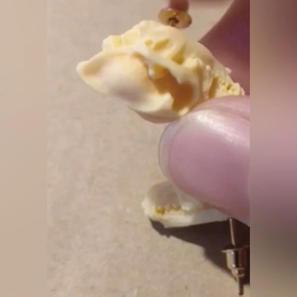 “Animal Skull” Dinosaur Sabertooth Wolf Dog Oddity Creepy Spooky Replica Studs - Picture 9 of 12